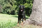 BEAUCERON 077